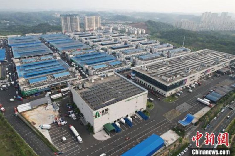 如何准确表达“服务”的英文?让我们一起学习一下吧!